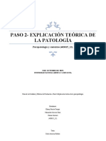 Paso 2 - Explicación Teórica de La Psicopatología.