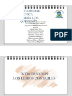 Introducción - Libros Contables