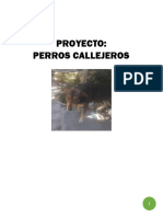 Perros Callejeros