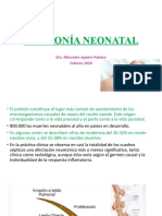 Neumonía Neonatal