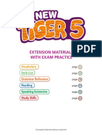 NewTiger5 AB Extension