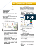 Distúrbios Do Crescimento Celular