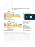 CNS 2