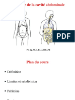 Cavité Abdominale1