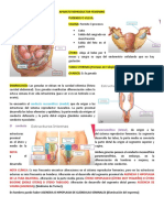 Aparato Reproductor Femenino