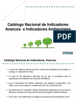 1-Catalogo Nacional de Indicadores