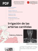 Arterias Carotidas Pre