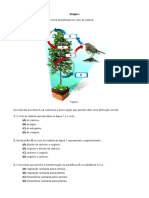 Ficha Ciencias 8 Ano Fluxos de Energia Ciclos de Materia Sucessoes Ecoclogicas Peturbacoes Do Equilibrio Dos Ecossistemas