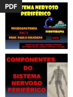 (Microsoft PowerPoint - SISTEMA NERVOSO PERIFÉRICO 1 (Modo de Compatibilidade) )