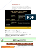 El Diseño Curricular Nacional