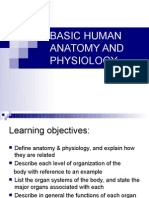 Basic Human Anatomy and Physiology