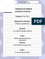 Metas Internacionales de Enfermería