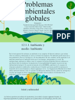 Problemas Ambientales Globales