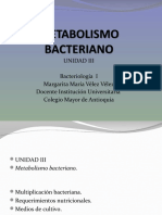 METABOLISMO Bacteriano