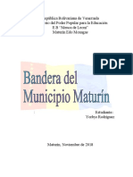 Bandera de Maturin