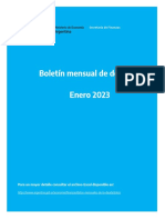 Informe Mensual Enero-2023