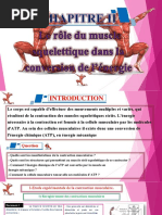 2 Le Role Du Muscle Squelettique Dans La Conversion de L'énergie