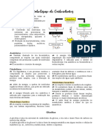 Metabolismo Carboidrato