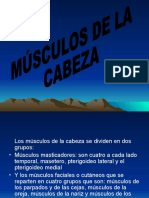 Músculos Masticadores