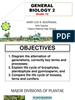 Q2 ALTERNATION OF GENERATION Moss Ferns and Conifers