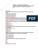 Gross Anatomy