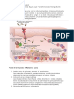  Inflamación 