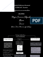 Tarea 8 Flexion