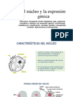 El Núcleo y La Expresión Génica