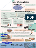Micosis Superficial y Profunda Secc 7 2do Año 