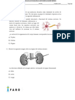 Quiz Faro #1 Ciencias