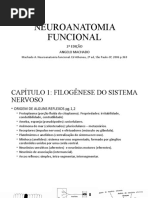 Aula Neuroanatomia Funcional