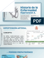 Historia de La Enfermedad - Hipertensión - Equipo02