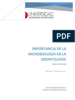 Ensayo Microbiología en La Odontología.