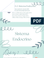 Sistema Endocrino