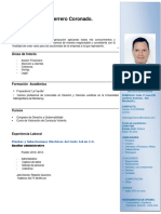 Curriculum Vitae