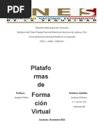 Formacion Virtual