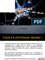 Plasticidade Neural