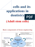 Adult Stem Cells-1