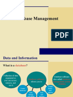 Introduction To Database Management (Tp4)