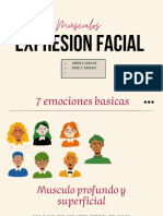 Musculos Expresion Facial