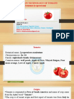 Production Technology of Tomato