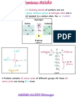 Amino Acids