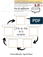 Guía Ciclos de Vida