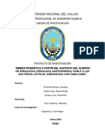 Proyecto de Investigación-Arracacha