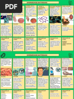 Enfermedades Bacterianas-Camposjulcarima