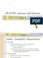 Plants