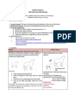 Exemplar Cell Division Canalita&Ruelo