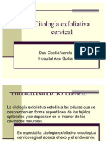 Citologiaexfoliativacervical 110225174348 Phpapp02