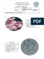 PRACTICA N°9 - PLASTILINAS - LACAZIA LOBOI, RINOSPORIDIUM, CONIDIOBOLO, BASIDIOBOLUS RANARUM, BASIDIOBOLO, PROTOTHECA SP - Kevin Albuja