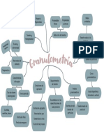 Mapa Mental Granulometria